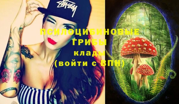 твердый Алзамай